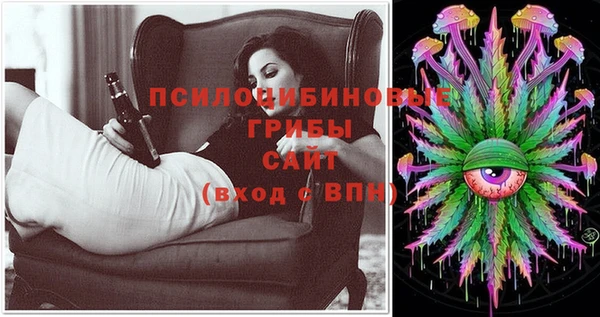 apvp Баксан