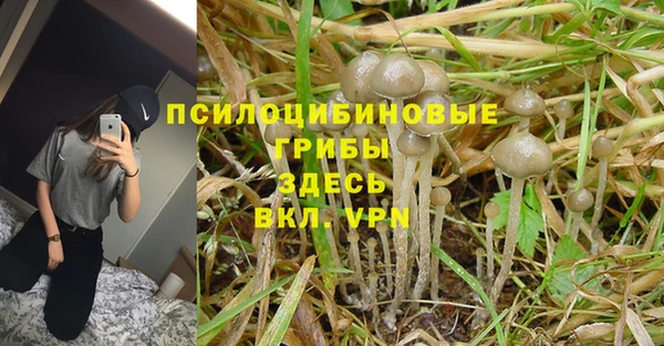 apvp Баксан