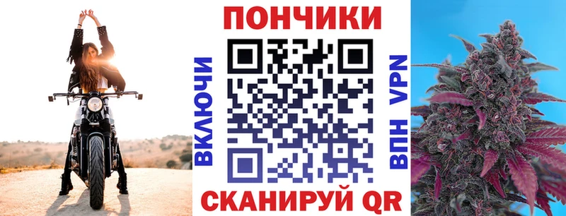 даркнет сайт  Ядрин  Шишки марихуана гибрид 